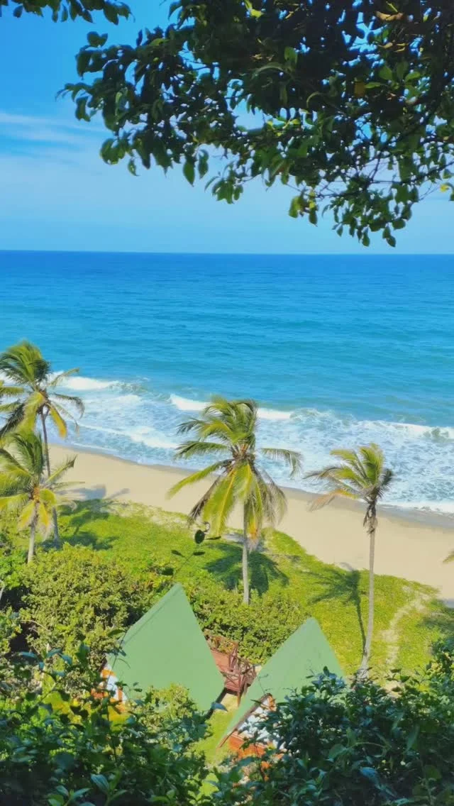 Despierta junto al mar, rodeado de naturaleza 🌿🏝️  Vive un sueño natural a la orilla del mar y alójate en un espacio diseñado para el descanso y la conexión con el entorno. Despierta con el sonido de las olas, disfruta de la brisa marina y deja que la tranquilidad de Playa Los Ángeles renueve tu mente y espíritu.  📍 Reserva ya tu estadía y hazlo realidad.  📲 Info & Reservas: 3104754933
🌐 www.playalosangeles.com
🌅 Km. 33.2 vía Santa Marta - Riohacha
🏷️. RNT21021 
.
.
.
.
.
.
.
📸 @sutachang
#PlayaLosAngeles #LosAngelesSpa #SantaMarta #Magdalena #Colombia #CaribeColombiano #Naturaleza #Spa #Paraíso #Relax  #Hamacas #Playa  #Travel  #ViajaPorColombia #ViajandoPorColombia #Turismo #VivirUnSueñoNatural #TurismoComunitario  #BellezaNatural #Vacaciones #ParqueTayrona #SierraNevada