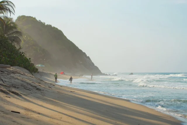 🌴🌊 Vive un sueño natural a la orilla del mar 🌊🌴  Entre el sonido de las olas, el verde de la naturaleza y la grandeza de la Sierra, desconectarse es inevitable.  Ven, disfruta de la tranquilidad en Playa los Ángeles y reserva ahora mismo tu estadía.  📲 Info & Reservas: 3104754933
🌐 www.playalosangeles.com
🌅 Km. 33.2 vía Santa Marta - Riohacha
🏷️. RNT21021 
.
.
.
.
.
.
.
📸 @sutachang
#PlayaLosAngeles #LosAngelesSpa #SantaMarta #Magdalena #Colombia #CaribeColombiano #Naturaleza #Spa #Paraíso #Relax  #Hamacas #Playa  #Travel  #ViajaPorColombia #ViajandoPorColombia #Turismo #VivirUnSueñoNatural #TurismoComunitario  #BellezaNatural #Vacaciones #ParqueTayrona #SierraNevada