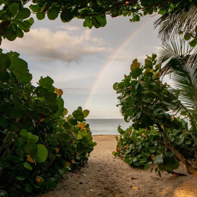 Hay momentos que no se planean... Simplemente suceden. ✨💚  La naturaleza habla, y aquí se escucha con el corazón abierto.  En Playa Los Ángeles, cada día trae su propio regalo.  🌈 Ven, respira, disfruta el momento... Vive un sueño natural a la orilla del mar 🌊 🌴  📲 Info & Reservas: 3104754933
🌐 www.playalosangeles.com
🌅 Km. 33.2 vía Santa Marta - Riohacha
🏷️. RNT21021 
.
.
.
.
.
.
.
📸 @negriver
#PlayaLosAngeles #LosAngelesSpa #SantaMarta #Magdalena #Colombia #CaribeColombiano #Naturaleza #Spa #Paraíso #Relax  #Hamacas #Playa  #Travel  #ViajaPorColombia #ViajandoPorColombia #Turismo #VivirUnSueñoNatural #TurismoComunitario  #BellezaNatural #Vacaciones #ParqueTayrona #SierraNevada