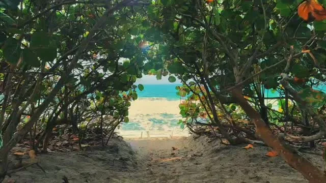 🌊 Mucho más que una playa 🌴  En este paraíso frente al Caribe colombiano te espera una experiencia única de conexión con lo esencial, descanso total y naturaleza.  Ven y disfruta de la playa rural #1 del país y vive un sueño natural a la orilla del mar 🌴 🌊  📲 Info & Reservas: 3104754933
🌐 www.playalosangeles.com
🌅 Km. 33.2 vía Santa Marta - Riohacha
🏷️. RNT21021 
📸 @brandong.ph
.
.
.
.
.
.
.
#PlayaLosAngeles #LosAngelesSpa #SantaMarta #Magdalena #Colombia #CaribeColombiano #Naturaleza #Spa #Paraíso #Relax  #Hamacas #Playa  #Travel  #ViajaPorColombia #ViajandoPorColombia #Turismo #VivirUnSueñoNatural #TurismoComunitario  #BellezaNatural #Vacaciones #ParqueTayrona #SierraNevada